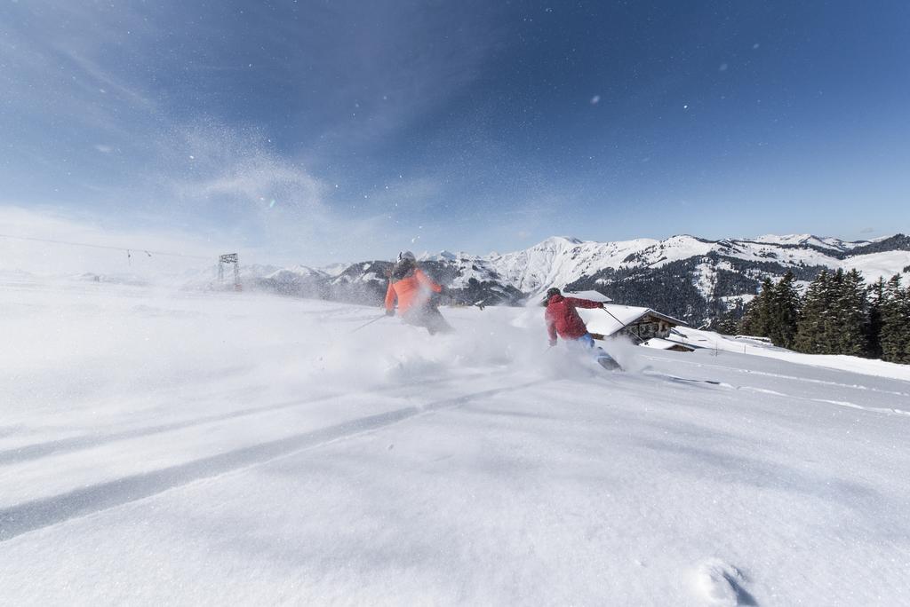 Apartchalet Almliebe Maria Alm am Steinernen Meer Zewnętrze zdjęcie